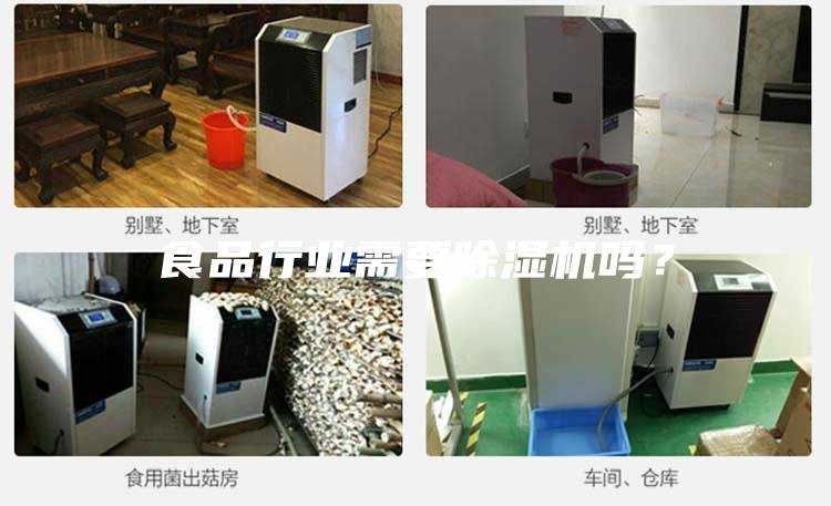 食品行業需要除濕機嗎？