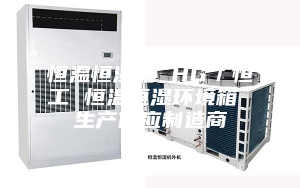 恒溫恒濕箱 HG/恒工 恒溫恒濕環(huán)境箱 生產(chǎn)供應(yīng)制造商