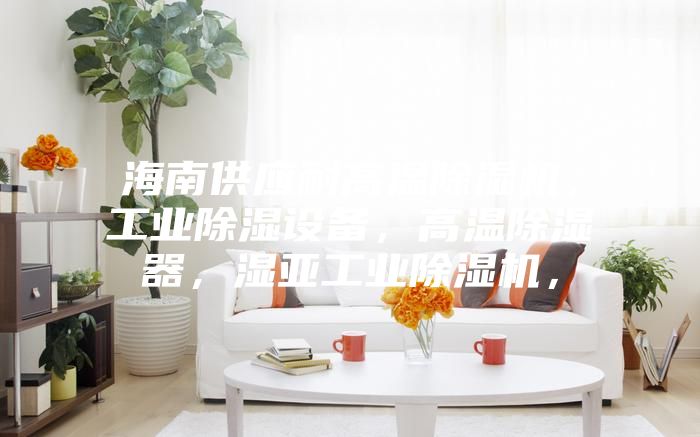 海南供應(yīng)耐高溫除濕機，工業(yè)除濕設(shè)備，高溫除濕器，濕亞工業(yè)除濕機，