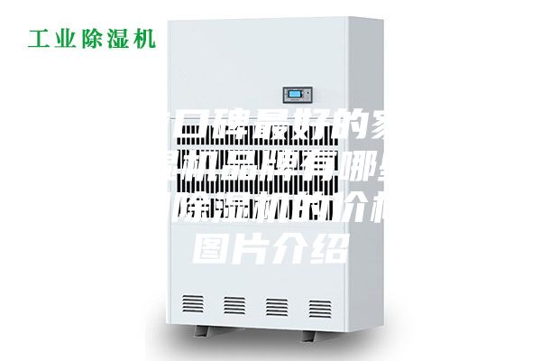 目前口碑最好的家用除濕機品牌有哪些？家用除濕機的價格和圖片介紹