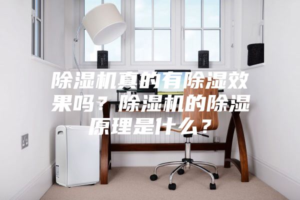 除濕機真的有除濕效果嗎？除濕機的除濕原理是什么？