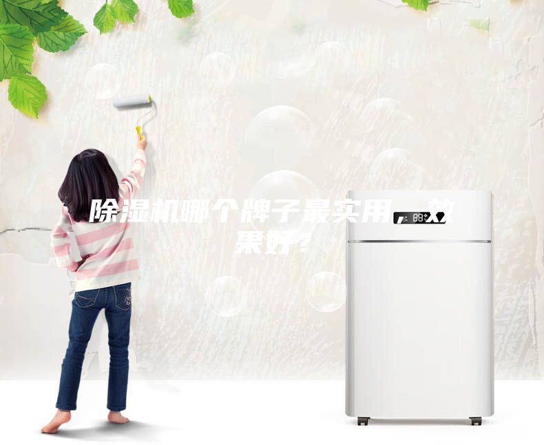 除濕機哪個牌子最實用,效果好?