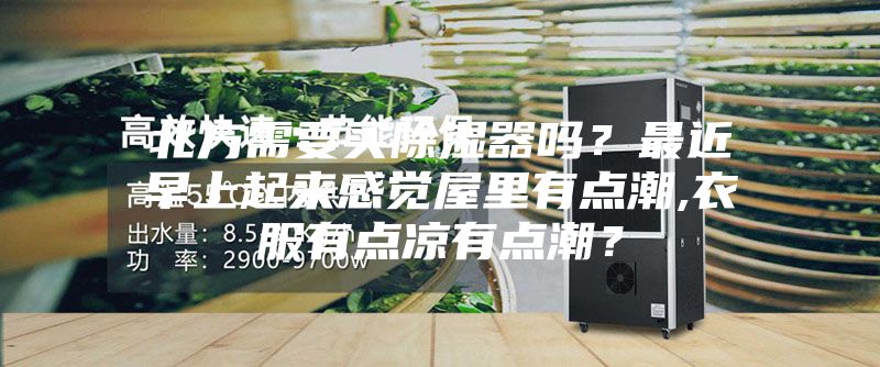 北方需要買除濕器嗎?最近早上起來感覺屋里有點潮,衣服有點涼有點潮?
