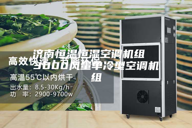 濟南恒溫恒濕空調(diào)機組 3000風量單冷型空調(diào)機組