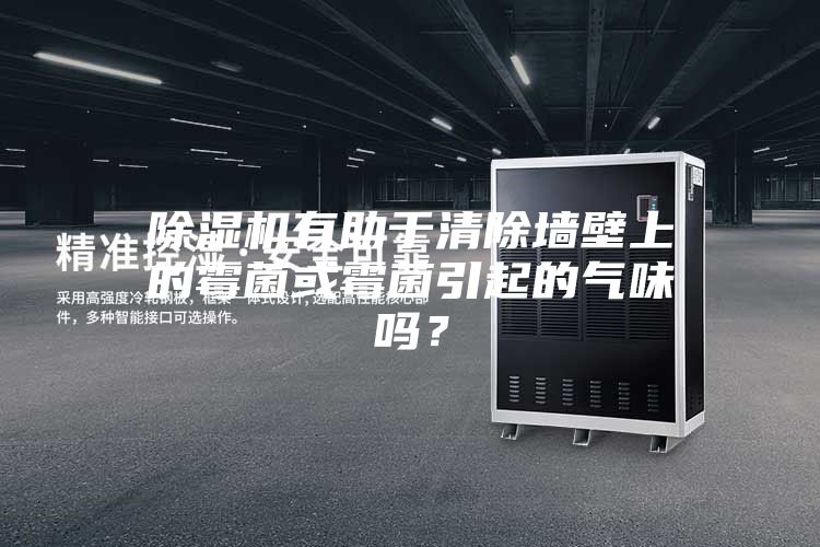 除濕機有助于清除墻壁上的霉菌或霉菌引起的氣味嗎?