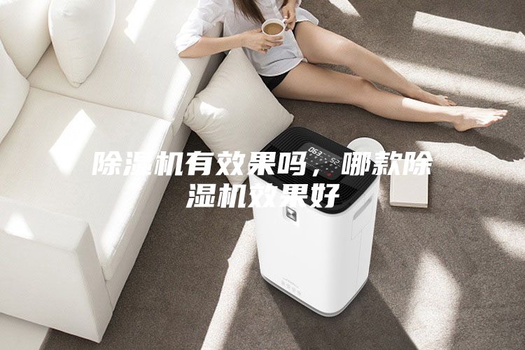 除濕機有效果嗎,哪款除濕機效果好