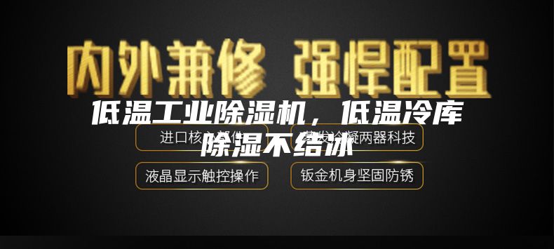 低溫工業(yè)除濕機(jī)，低溫冷庫(kù)除濕不結(jié)冰