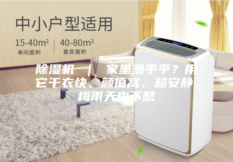 除濕機 | 家里潮乎乎?用它干衣快、顏值高、超安靜,梅雨天也不愁