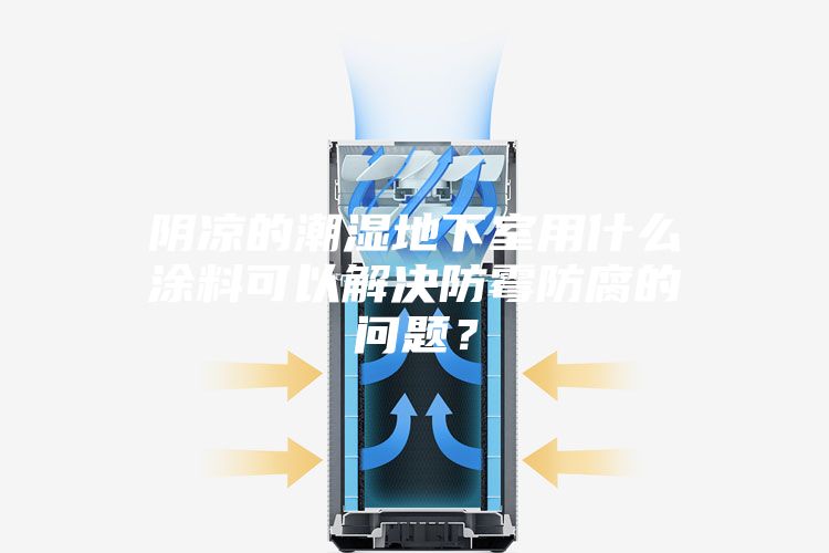 陰涼的潮濕地下室用什么涂料可以解決防霉防腐的問題？