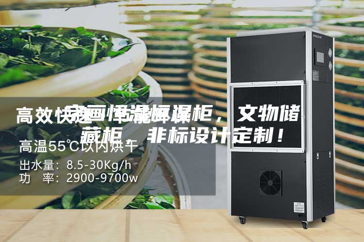 字畫恒溫恒濕柜，文物儲藏柜，非標設計定制！