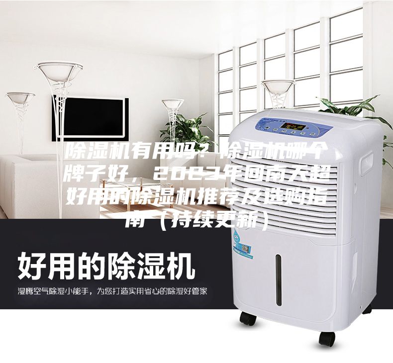 除濕機有用嗎？除濕機哪個牌子好，2023年回南天超好用的除濕機推薦及選購指南（持續更新）