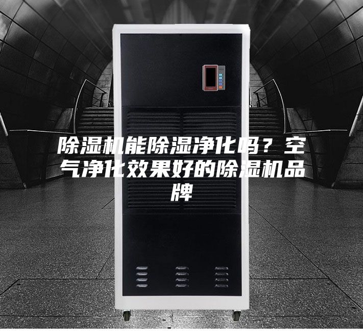 除濕機能除濕凈化嗎?空氣凈化效果好的除濕機品牌