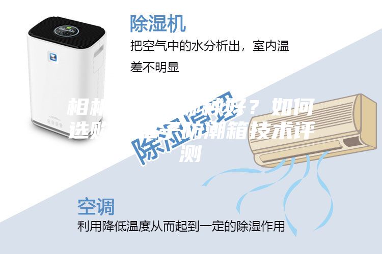 相機防潮箱哪種好？如何選購？電子防潮箱技術評測