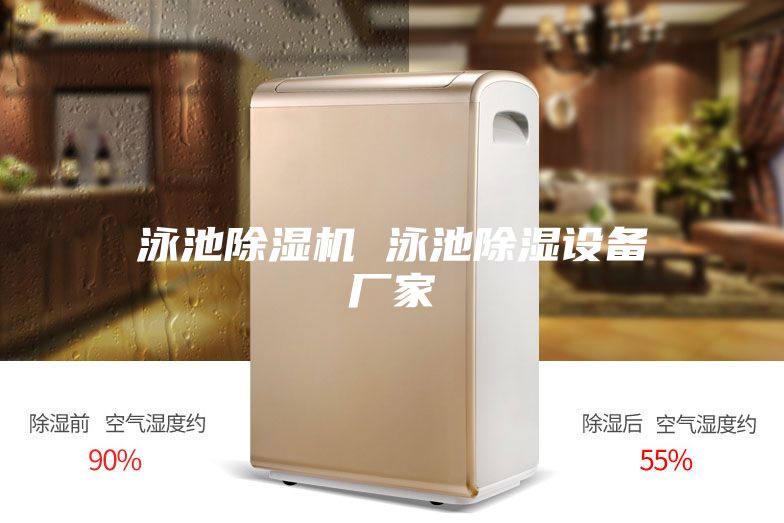 泳池除濕機(jī) 泳池除濕設(shè)備廠(chǎng)家
