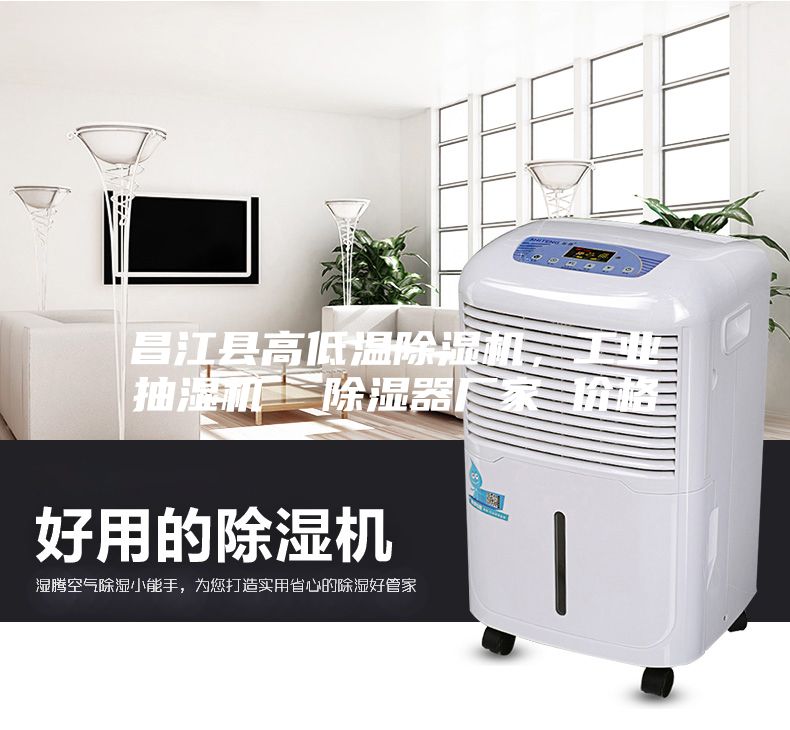 昌江縣高低溫除濕機,工業(yè)抽濕機 除濕器廠家 價格