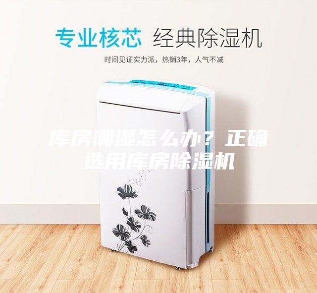 庫房潮濕怎么辦?正確選用庫房除濕機