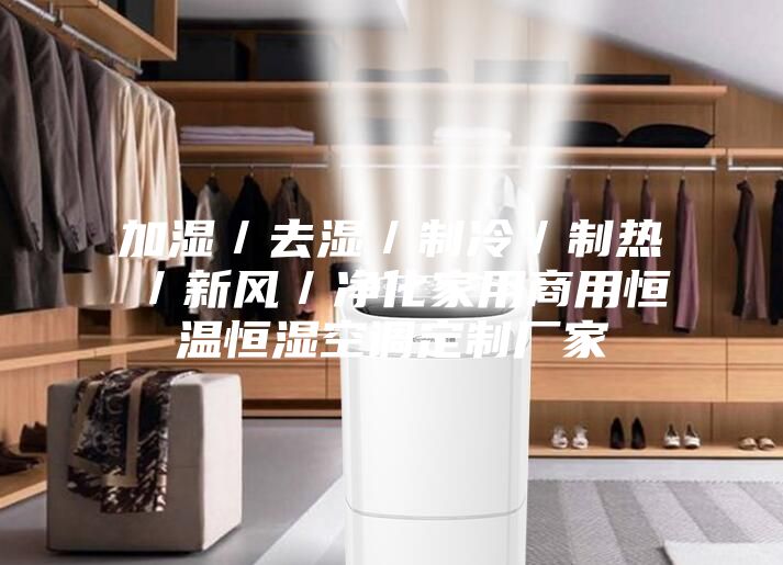 加濕/去濕/制冷/制熱/新風/凈化家用商用恒溫恒濕空調定制廠家
