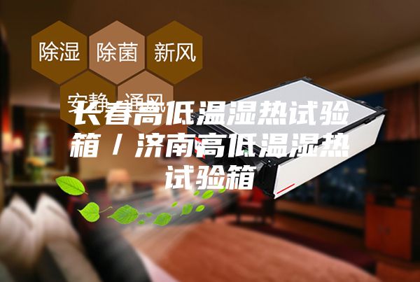 長春高低溫濕熱試驗箱/濟南高低溫濕熱試驗箱