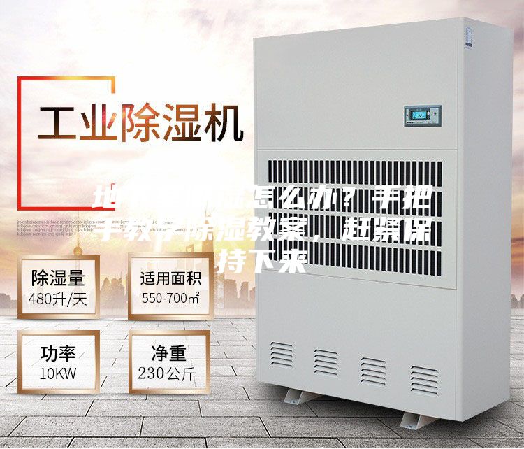 地下室潮濕怎么辦？手把手教學除濕教案，趕緊保持下來