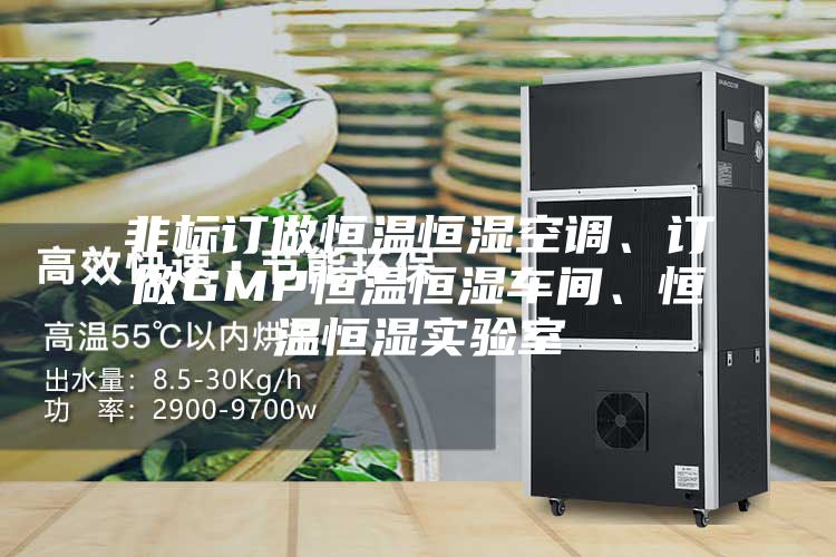 非標訂做恒溫恒濕空調、訂做GMP恒溫恒濕車間、恒溫恒濕實驗室