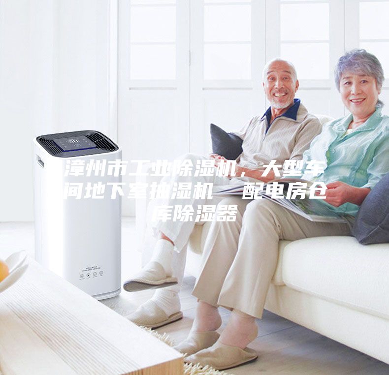 漳州市工業(yè)除濕機,大型車間地下室抽濕機 配電房倉庫除濕器
