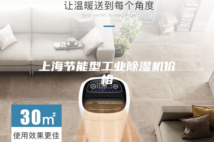 上海節(jié)能型工業(yè)除濕機(jī)價格