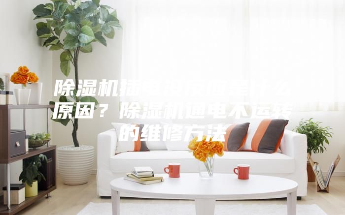 除濕機插電沒反應(yīng)是什么原因?除濕機通電不運轉(zhuǎn)的維修方法