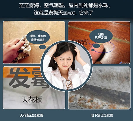 酒店、餐廳這么潮,誰(shuí)還放心?除濕機(jī)用起來(lái)啊