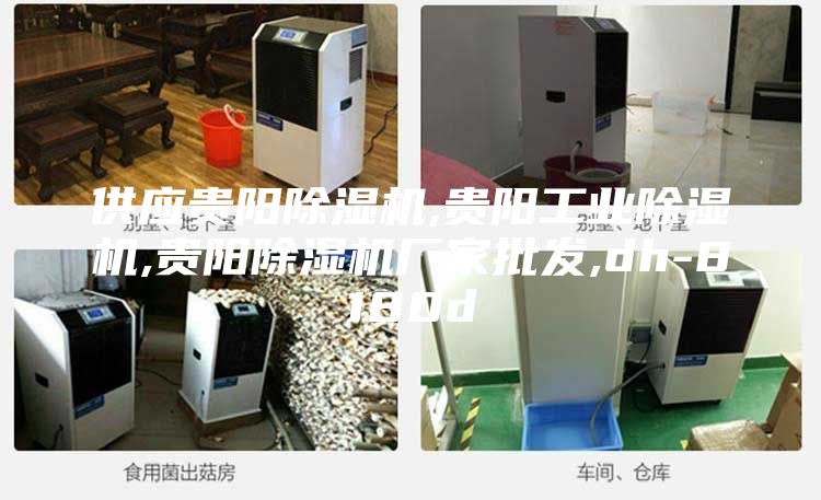 供應(yīng)貴陽除濕機(jī),貴陽工業(yè)除濕機(jī),貴陽除濕機(jī)廠家批發(fā),dh-8180d