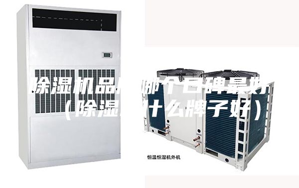除濕機(jī)品牌哪個(gè)口碑最好(除濕機(jī)什么牌子好)