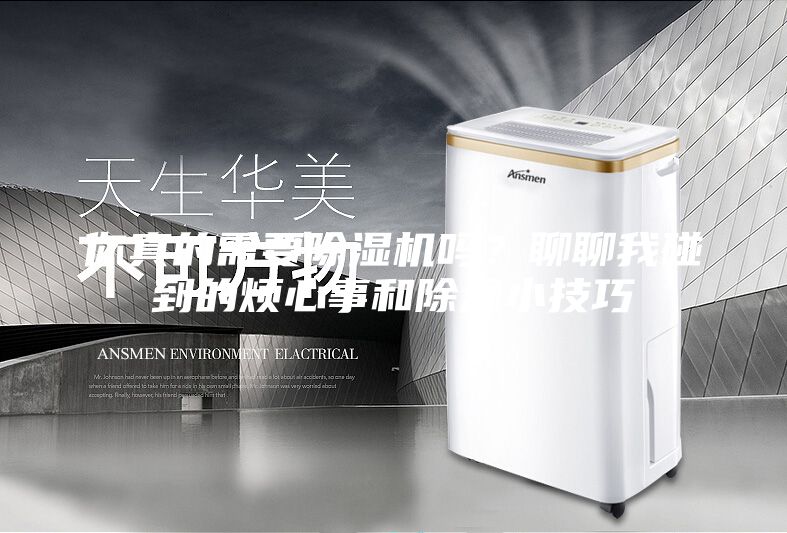 你真的需要除濕機嗎？聊聊我碰到的煩心事和除濕小技巧