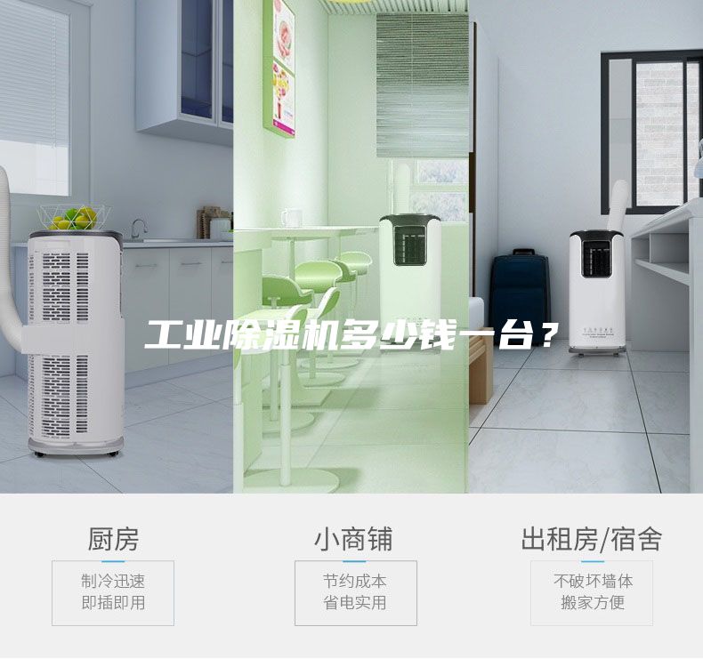 工業(yè)除濕機多少錢一臺？