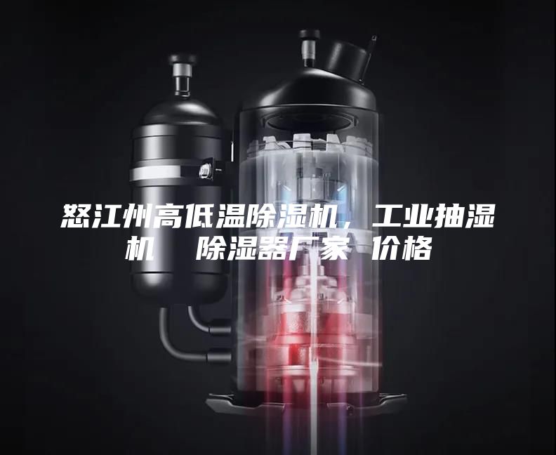 怒江州高低溫除濕機(jī),工業(yè)抽濕機(jī) 除濕器廠家 價(jià)格