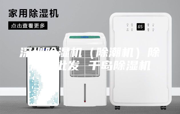 深圳除濕機(jī)(除潮機(jī))除濕機(jī)批發(fā) 千島除濕機(jī)