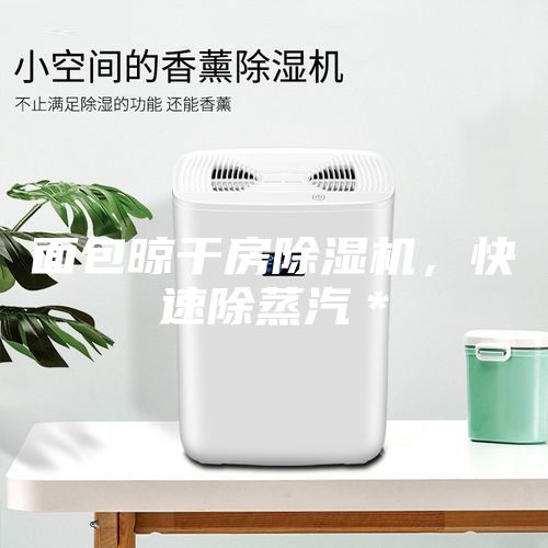 面包晾干房除濕機(jī),快速除蒸汽*