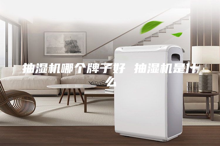 抽濕機(jī)哪個(gè)牌子好 抽濕機(jī)是什么