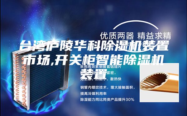 臺灣廬陵華科除濕機(jī)裝置市場,開關(guān)柜智能除濕機(jī)裝置