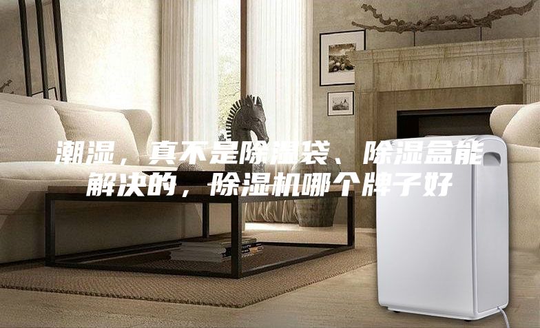 潮濕，真不是除濕袋、除濕盒能解決的，除濕機(jī)哪個(gè)牌子好