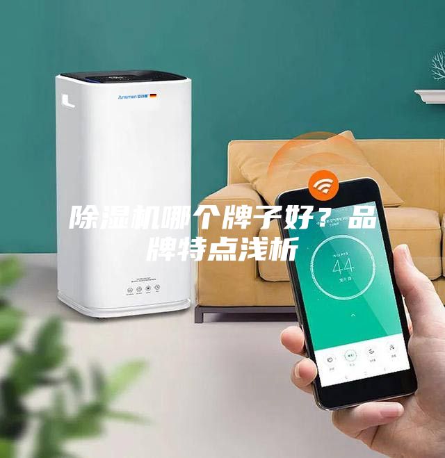除濕機哪個牌子好?品牌特點淺析