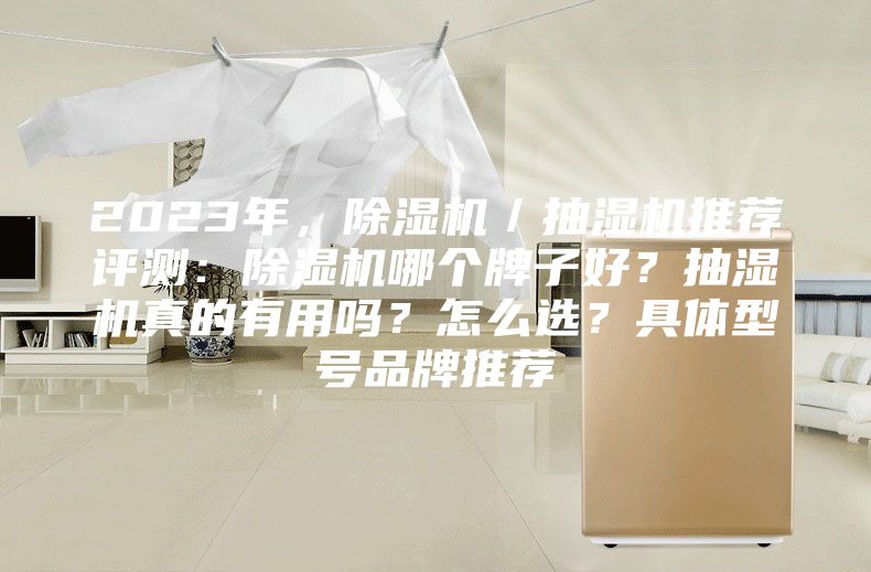 2023年,除濕機/抽濕機推薦評測:除濕機哪個牌子好?抽濕機真的有用嗎?怎么選?具體型號品牌推薦