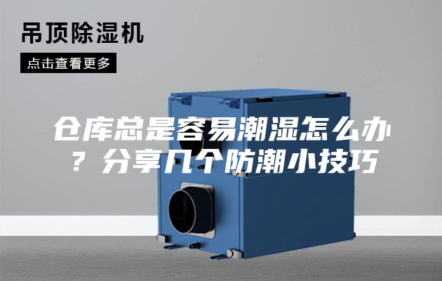 倉庫總是容易潮濕怎么辦？分享幾個防潮小技巧