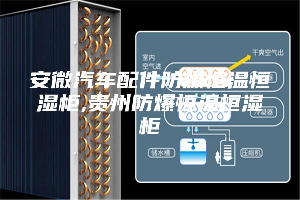 安微汽車(chē)配件防爆恒溫恒濕柜,貴州防爆恒溫恒濕柜