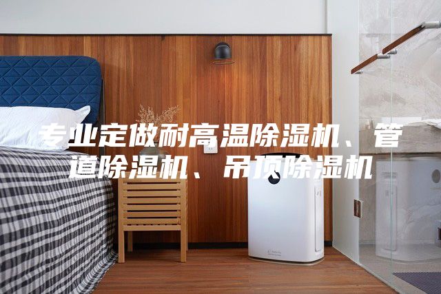 專業定做耐高溫除濕機、管道除濕機、吊頂除濕機