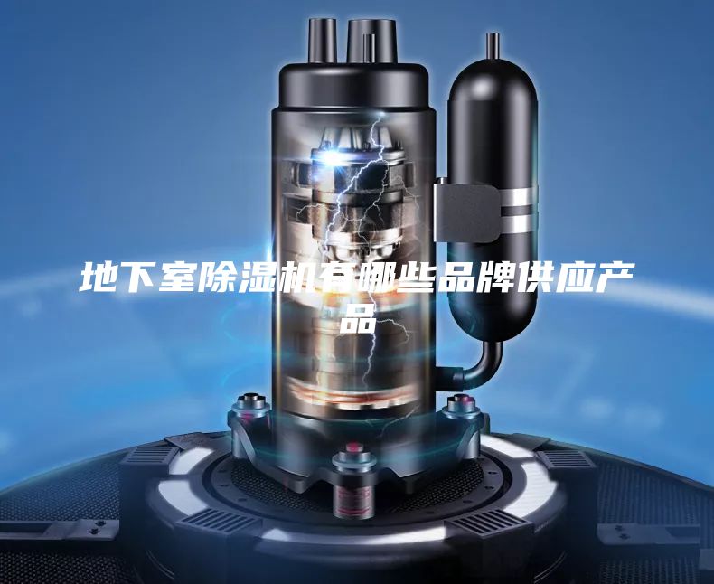 地下室除濕機(jī)有哪些品牌供應(yīng)產(chǎn)品
