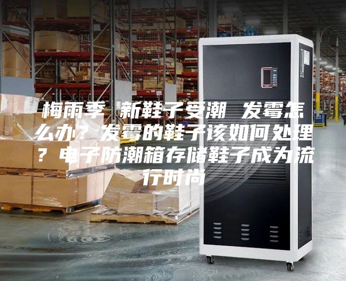 梅雨季 新鞋子受潮 發(fā)霉怎么辦？發(fā)霉的鞋子該如何處理？電子防潮箱存儲鞋子成為流行時(shí)尚