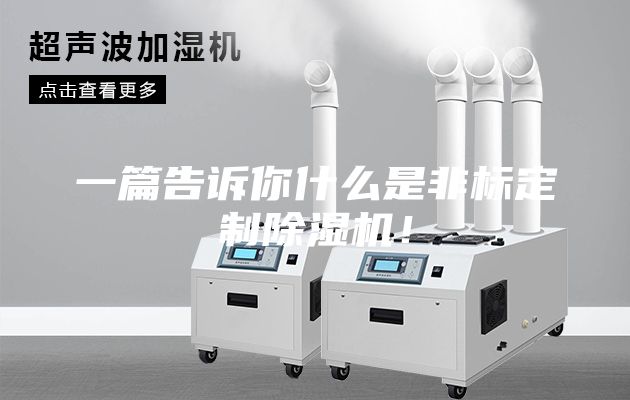 一篇告訴你什么是非標定制除濕機！