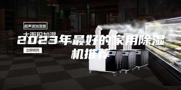 2023年最好的家用除濕機(jī)推薦