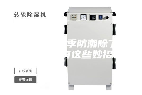 圍觀！梅雨季防潮除了除濕器還有這些妙招