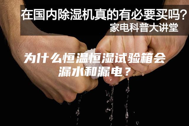 為什么恒溫恒濕試驗(yàn)箱會(huì)漏水和漏電?