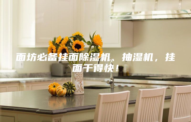 面坊必備掛面除濕機(jī)、抽濕機(jī),掛面干得快!